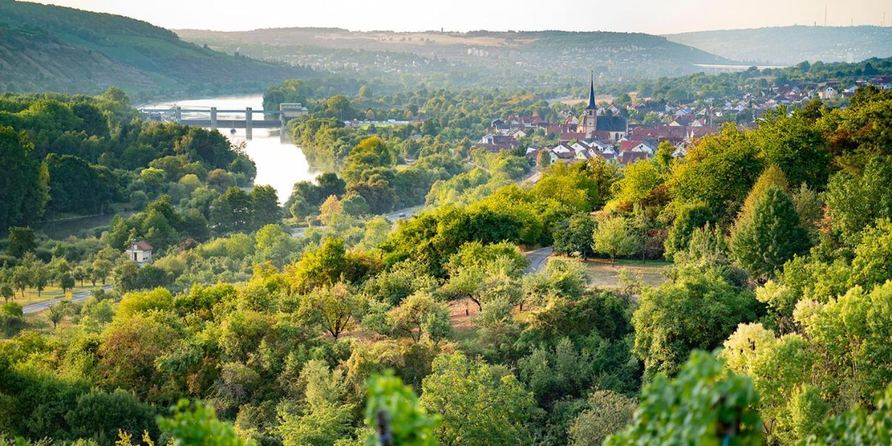 Weingut Martin Blass Erlabrunn  ภายนอก รูปภาพ