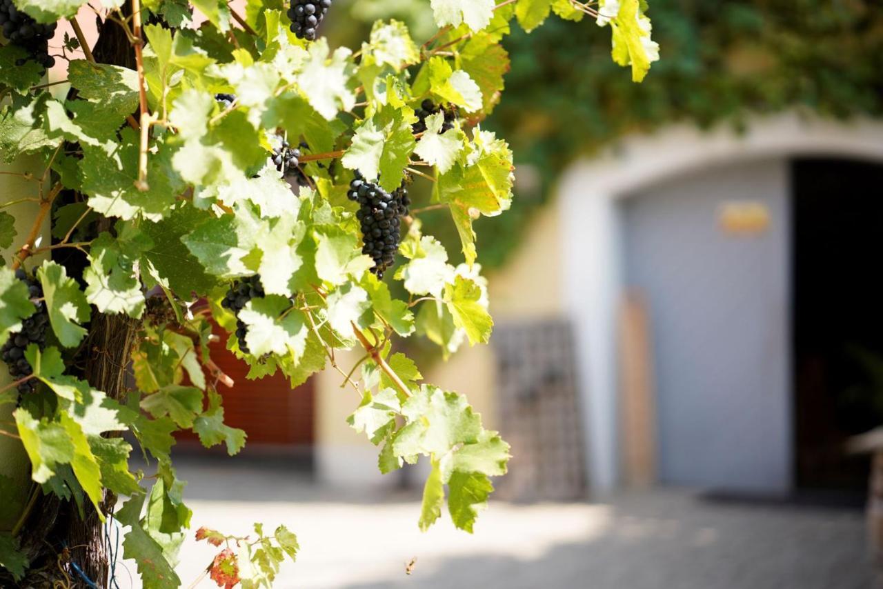 Weingut Martin Blass Erlabrunn  ภายนอก รูปภาพ